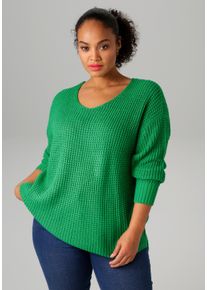 sheego Gro&szlig;e Gr&ouml;&szlig;en Strickpullover, gr&uuml;n, Gr&ouml;&szlig;e 50 - Damen