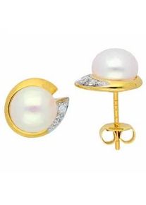 Adelia&acute;s Paar Ohrh&auml;nger ADELIA ́S "Damen 585 Gold Ohrringe Ohrstecker mit Zirkonia", gold, Ohrringe, Damen, Damen, Gelbgold 585 Gold Perlen, Gelbgold 585, Gold, Perlen, mit Zirkonia Goldschmuck f&uuml;r Damen