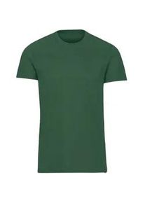 T-Shirt TRIGEMA "TRIGEMA Slim Fit T-Shirt aus DELUXE Baumwolle", Damen, Gr. M, gr&uuml;n (efeu), Single Jersey, 100% Baumwolle, Basic, normal, Rundhals, Shirts T-Shirt