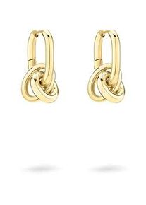 Paar Creolen Liebeskind Berlin "Schmuck Geschenk Edelstahl Ohrringe Modern Knot", gold (gelbgoldfarben), Ohrringe, Damen, Edelstahl, Einh&auml;nger abnehmbar