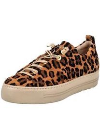 Sneaker Paul Green "Paul Green Sneaker Veloursleder", Damen, Gr. 40, leopard, Veloursleder, Schuhe Sneaker