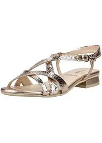 Riemchensandale Nero Giardini "Nero Giardini Sandalen Leder", Damen, Gr. 37, gold, Leder, Schuhe Riemchensandale