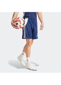 Trainingsshorts adidas Performance "TIRO 24", Herren, Gr. S, N-Gr, blau (team navy blau 2, wei&szlig;, normal, gr.), Obermaterial: 100% Polyester, Hosen Trainingsshorts