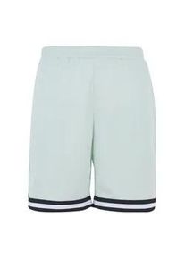 Shorts Karl Kani "Karl Kani Herren", Herren, Gr. XS, US-Gr&ouml;&szlig;en, light gr&uuml;n, 100% Polyester, unifarben, loose fit, Hosen Shorts