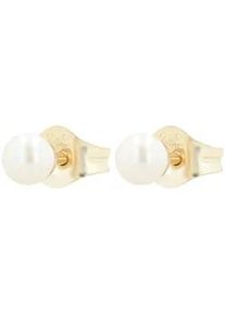 Adelia&acute;s Paar Ohrh&auml;nger ADELIA ́S "Damen Ohrringe &ndash; Ohrstecker aus 333 Gold mit Perle", Damen, Gr. Damen, gold, Ohrringe, Ein Geschenk, das Freude macht