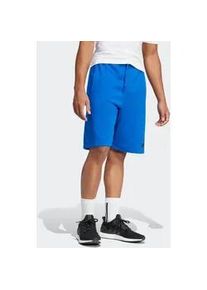 Shorts Adidas SPORTSWEAR "ESSENTIALS BIG LOGO FRENCH TERRY", Herren, Gr. L, N-Gr, blau (royal blau, schwarz), Obermaterial: 55% Baumwolle, 36% Polyester, 9% Viskose, Hosen Shorts