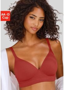 Push-up-BH Lascana "COMFY BRA", Damen, Gr. 80, Cup B, rot (chili), Piqu&eacute;, Obermaterial: 50% Baumwolle, 33% Polyamid, 14% Polyester, 3% Elasthan, Basic, BHs Push-up-BH, ohne B&uuml;gel aus Baumwolle, Basic Dessous, Topseller