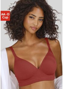 Push-up-BH Lascana "COMFY BRA", Damen, Gr. 90, Cup B, rot (chili), Piqu&eacute;, Obermaterial: 50% Baumwolle, 33% Polyamid, 14% Polyester, 3% Elasthan, Basic, BHs Push-up-BH, ohne B&uuml;gel aus Baumwolle, Basic Dessous, Topseller