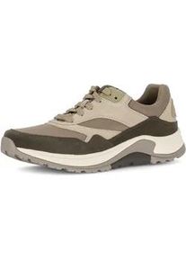 Gabor Keilsneaker ROLLINGSOFT, Herren, Gr. 8 (42), khaki kombiniert, Mesh, Veloursleder, Schuhe, Freizeitschuh, Halbschuh, Schn&uuml;rschuh mit Wechselfu&szlig;bett, Weite G
