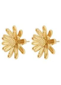 Adelia&acute;s Paar Ohrh&auml;nger ADELIA ́S "Damen Ohrringe &ndash; Ohrstecker aus Edelstahl", Damen, Gr. Damen, Edelstahl, gold, Ohrringe, Ideal zum Verschenken &ndash; schlicht und stilvoll