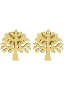 Adelia&acute;s Paar Ohrh&auml;nger ADELIA ́S "Damen Ohrringe &ndash; Ohrstecker aus Edelstahl", Damen, Gr. Damen, Edelstahl, gold, Ohrringe, Sch&ouml;ne Geschenkidee zum Muttertag