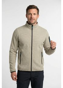 Fleecejacke Icepeak "BREDSTEDT", Damen, Gr. L, powder, Obermaterial: 100% Polyester, normal, Jacken Fleecejacke, sportlicher Stil, mit Stehkragen, mit Rei&szlig;verschlusstaschen