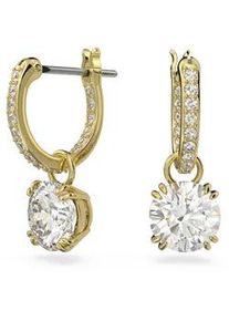 Paar Ohrh&auml;nger Swarovski "Stilla Round", gold (gelbgoldfarben, kristallfarben, kristallfarben), Ohrringe, Damen, Metall, mit Swarovski Kristall - Einh&auml;nger abnehmbar