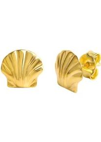 Diamonds by Ellen K. Paar Ohrstecker "333 Gold glanz Motiv Muschel", gelb, FASCINATION BY ELLEN K., Ohrringe, Damen, one-size, Gold