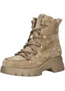 Schn&uuml;rstiefelette Paul Green "Paul Green Stiefelette Veloursleder", Damen, Gr. 41, beige, Veloursleder, Schuhe Schn&uuml;rstiefelette