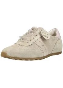 Schn&uuml;rschuh Paul Green "Paul Green Sneaker Veloursleder", Damen, Gr. 39, beige, Veloursleder, Schuhe Schn&uuml;rschuh