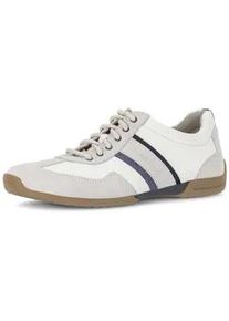 Sneaker Gabor "Sneaker low", Herren, Gr. 44,5, wei&szlig;, Schuhe Sneaker