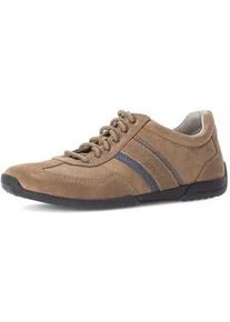 Sneaker Gabor "Sneaker low", Herren, Gr. 44, beige, Schuhe Sneaker