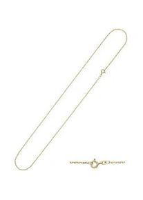 Goldkette Jobo "Ankerkette 1,6 mm" Gr. 50, gelbgold 333, Halsketten, Damen, 50cm, Gelbgold 333, Goldkette, 8 Karat 333 Gold diamantiert