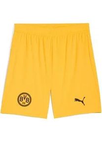 Trainingsshorts Puma "BVB SHORTS REPLICA", Herren, Gr. S, N-Gr, gelb sizzle, Web, Obermaterial: 100% Polyester, unifarben, regular fit kniefrei, Hosen, f&uuml;r Fu&szlig;ball, aus atmungsaktivem Material, mit DryCELL-Technologie