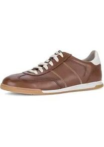 Sneaker PIUS Gabor, Herren, Gr. 9 (43), cognac, sanftes wei&szlig;, Nappaleder, Schuhe Sneaker, Freizeitschuh, Komfortschuh, Schn&uuml;rschuh mit Kontrastn&auml;hten, G-Weite