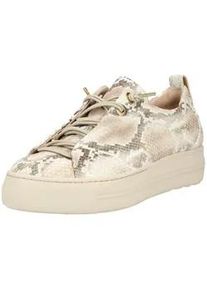 Sneaker Paul Green "Paul Green Sneaker Leder", Damen, Gr. 43, beige, Leder, Schuhe Sneaker