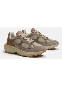 Sneaker Timberland "HAZEL LANE LOW LACE UP SNEAKER", Damen, Gr. 37, ltbeimeshwltpnk, Leder, Synthetik, Schuhe Sneaker