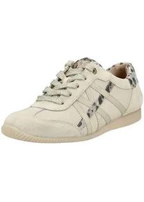 Schn&uuml;rschuh Paul Green "Paul Green Halbschuhe Veloursleder", Damen, Gr. 36, ivory, Veloursleder, Schuhe Schn&uuml;rschuh