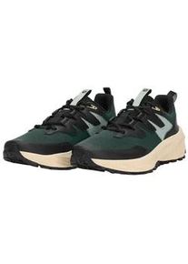 Wanderschuh Jack Wolfskin "PS TRAIL LOW M", Damen, Gr. 43, sago palm, Synthetik, Schuhe Wanderschuh, Trekkingschuh