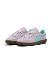 Sneaker Puma "PALERMO", Herren, Gr. 39, gelb (lavender alert, safe lake), Leder, mehrfarbig, Schuhe Sneaker, aus Leder, mit Synthetik-Innenmaterial, mit Schn&uuml;rverschluss