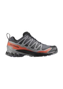 Salomon Herren XA Pro 3D V9 GTX grau 44.6