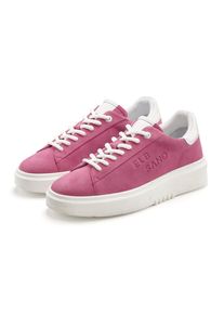 Sneaker ELBSAND "Schn&uuml;rschuh, Turnschuh, Schn&uuml;rhalbschuh, Freizeitschuh, Ledersneaker", Damen, Gr. 36, pink, Obermaterial: 95% Ziegenleder, 5% Schafsleder. Decksohle: 100% Schafsleder. Futter: 100% Lederimitat. Laufsohle: 100% Synthetik, unifarben, Schuhe Sneaker, aus Leder mit modischer Plateausohle