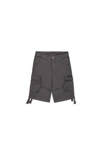 Shorts Alpha Industries "Jet Short", Herren, Gr. 32, Normalgr&ouml;&szlig;en, grau (vintage grau), Obermaterial: 100% Baumwolle, Hosen Shorts