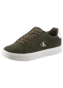 Sneaker Calvin Klein Jeans "CLASSIC CUPSOLE LACEUP SU", Herren, Gr. 40, gr&uuml;n, Veloursleder, unifarben mit Farbeinsatz, Schuhe Sneaker, Schn&uuml;rschuh, Halbschuh, Freizeitsneaker mit seitlichem CK-Logo