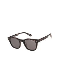 Sonnenbrille Superdry "Modell 996100", Herren, grau havanna, gemustert, leicht durchscheinend, matt, Sonnenbrillen Sonnenbrille, Form Karree/Eckig, Logoschriftzug auf B&uuml;gel, Kunststofffassung