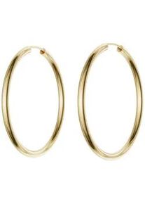 Paar Creolen Firetti "Schmuck Geschenk Silber 925 2,5 mm breit" Gr. 50, gold (gelbgoldfarben), Ohrringe, Damen, 50, Silber 925 (Sterlingsilber), Made in Germany