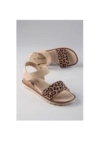 Sandale ANISTON SHOES, Damen, Gr. 41, taupe, leo, Textil, Schuhe Sandale, Sommerschuh, Klettschuh, Keilabsatz - NEUE KOLLEKTION