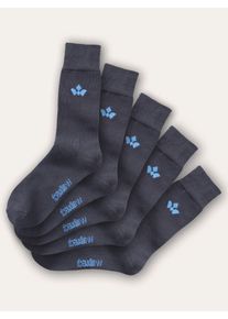 Walbusch Baumwoll-Socke Everyday