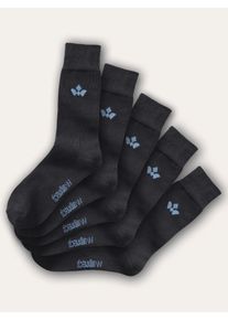 Walbusch Baumwoll-Socke Everyday