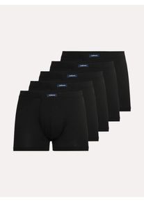 Walbusch Baumwoll-Pants Everyday 5er Set