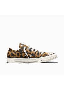 Sneaker Converse "CHUCK TAYLOR ALL STAR COW PRINT", Damen, Gr. 42, honey stick, schwarz, egret, Textil, Schuhe Sneaker