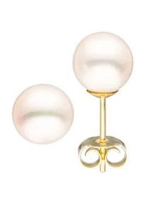 Paar Ohrstecker Jobo, gelb (gelbgold 585), Ohrringe, Damen, 6,5mm, Gelbgold 585 Perlen, Gelbgold 585, Perlen, 585 Gold mit S&uuml;&szlig;wasser-Zuchtperlen 6,5 mm