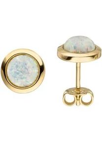 Paar Ohrstecker Jobo "rund", gelb (gelbgold 375), Ohrringe, Damen, 8,5mm, Gelbgold 375, 375 Gold mit Opal 8,5 mm