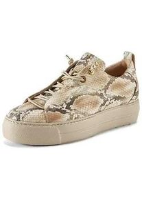 Sneaker Paul Green beige, 42