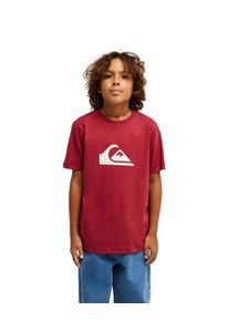 T-Shirt Quiksilver "Ev Comp Logo", Jungen, Gr. 12(148-156cm), burnt russet, Obermaterial: 100% Walkfrottier;, Shirts T-Shirt