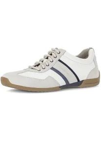 Sneaker PIUS Gabor, Herren, Gr. 9,5 (44), sanftes wei&szlig;, dunkelblau, Lederimitat, Veloursleder, Schuhe Sneaker, Freizeitschuh, Halbschuh, Schn&uuml;rschuh mit Logo, Weite G (=weit)