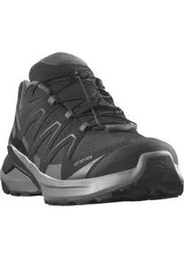 Trailrunningschuh Salomon "EXAMOTION GORE-TEX", Herren, Gr. 42,5, schwarz, pewter, asphalt, Synthetik, Textil, Schuhe, wasserdicht