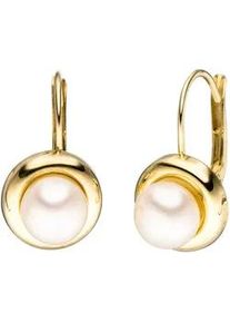 Perlenohrringe Jobo, gold (gelbgold 333), Ohrringe, Damen, Gelbgold 333 Perlen, Gelbgold 333, Perlen, rund 333 Gold mit S&uuml;&szlig;wasser-Zuchtperlen