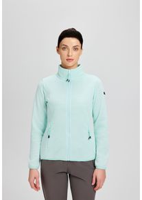 Fleecejacke Icepeak "AIKES", Damen, Gr. M, light gr&uuml;n, Obermaterial: 100% Polyester, Jacken Fleecejacke, sportlicher Stil, f&uuml;r Sport- und Outdooraktivit&auml;ten