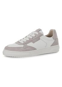 Plateausneaker Tamaris, Damen, Gr. 36, grau (taupe, wei&szlig;), Leder, Lederimitat, Schuhe Plateausneaker, Freizeitschuh, Halbschuh, Schn&uuml;rschuh mit seitlichem Logoschriftzug